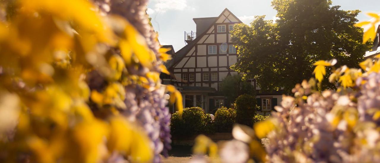 Ferienresidenz Brauneberger Hof エクステリア 写真